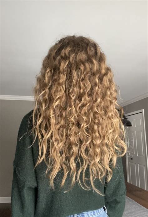 black and blonde curly hair|curly dirty blonde hair.